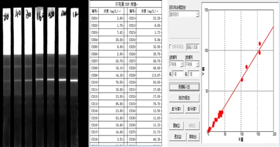 量子点 CRP 检测的试纸条信号与读取结果示例