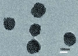 量子点荧光微球电镜图,比例尺 100 nm
